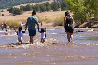 Parents walking through shallow river water holding their children's hands
